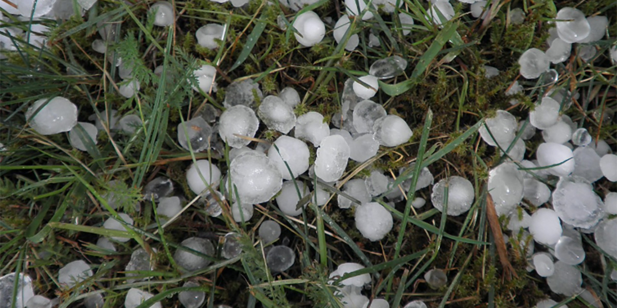 Il clima estivo tradisce l’Emilia-Romagna: agricoltura in ginocchio